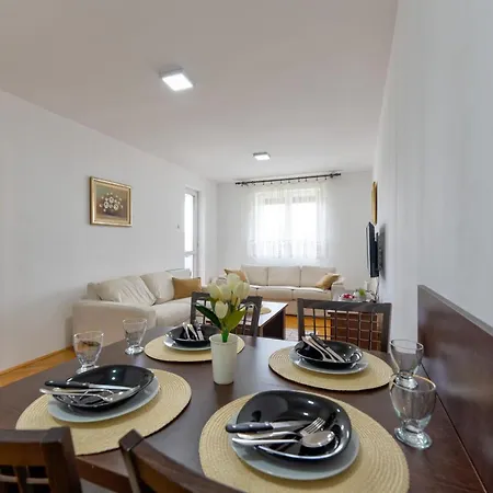 Apartment Ambijent Centar *