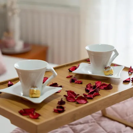 Ambijent Centar Lägenhet