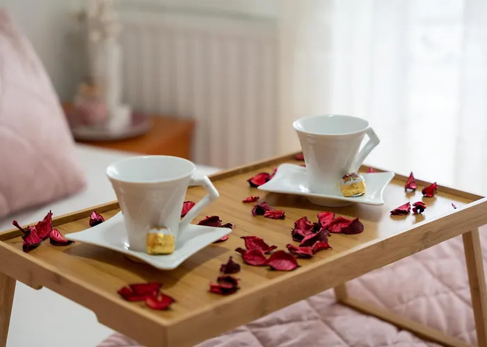 Ambijent Centar Apartamento